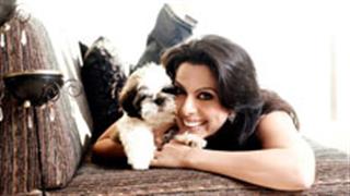 Pooja Bedi calls stepmother evil and wicked!