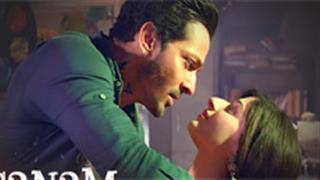 Sanam Teri Kasam wins the heart of the audience