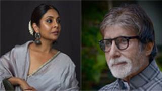 From Shefali Shah to Amitabh Bachchan... Bollywood actors who delved into word play during the lockdown!