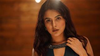 Shehnaaz Gill hints her fans about her next projects with Colors TV!
