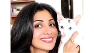 Meet Shilpa's new companion