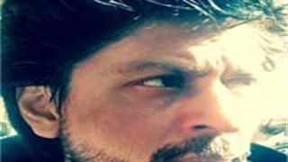 Why SRK isn't a morning person