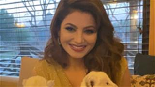 Urvashi Rautela looks pizzazz and bewitching in a golden gown playing along with adorable cubs!