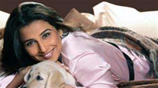 Vidya Balan will get back to work