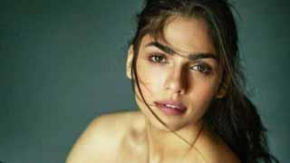 Sharmin Segal opens up about the reactions she is getting to her role in Heeramandi!