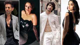 Triptii Dimri - Kartik Aaryan to Saiee M Manjrekar - Shantanu Maheshwari - Meet 2024's 5 most stunning and fresh on-screen pairs!