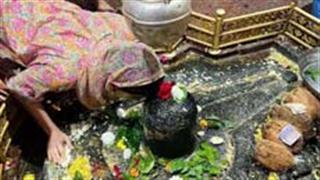 घृष्णेश्वर ज्योतिर्लिंग के सामने नंदी को मनोकामना कहती सारा की फ़ोटो वायरल!