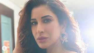 पिंक कलर का सिजलिंग आउटफिट पहन फैन्स को उत्तेजित करती दिखी सोफी चौधरी!