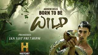 Born to Be Wild: A Thrilling Wildlife Adventure Series across the Amazonian, African and Australian Wildernesses, Premieres on History TV18!