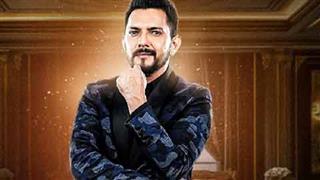 Luxury, Power And Game Plans: Aditya Narayan Revealed as New Rise And Fall Contestant!