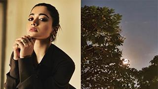 Rashmika Mandanna Dives Back Into Filming of Horror Comedy 'Thama'!