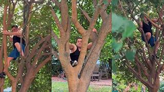 Salman Khan Silences Fitness Critics by Effortlessly Climbing a Tree!