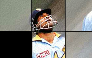 Cricket Puzzle