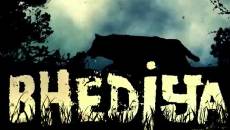 bhediya1