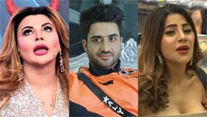 bigg-boss14-123
