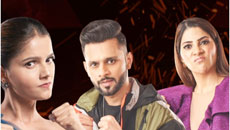 bigg-boss14-171