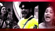 bigg-boss14-43