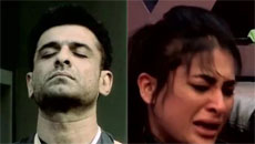 bigg-boss14-81