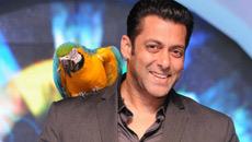 Revealed: The rumoured list of 'Bigg Boss 6' contestants