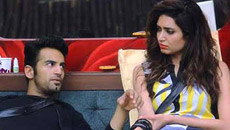 bigg-boss8-karishma-upen