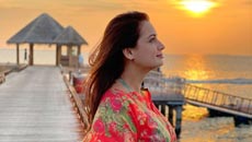 dia-mirza10