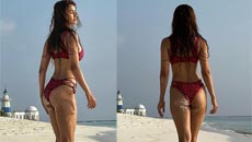 disha-patani82
