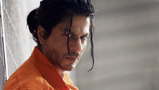 Don 2