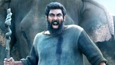 haathi-mere-saathi3