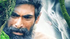 haathi-mere-saathi5