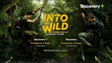 into-the-wild