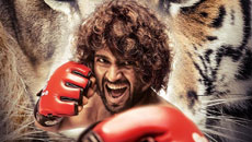 liger