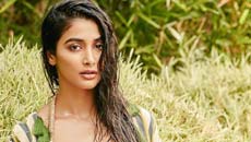 pooja-hegde12