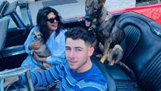priyanka-nick29