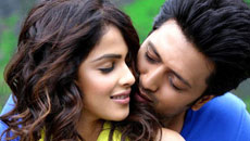 ritesh-genelia19