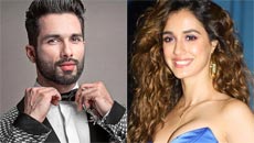 shahid-disha
