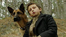 First Trailer for 'Shepherd: The Hero Dog' WWII Holocaust Dog Movie