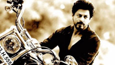 srk-harley