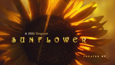 sunflower8