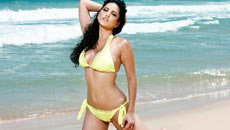 Watch The Video: Sunny sizzles in 'Luv U Alia'