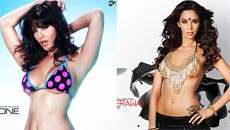 Sex siren Sunny to play matchmaker for motormouth Mallika