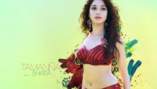In Pics: The new sizzling hotties of Bollwood