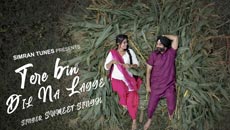 Tere Bin Dil Na Lage by Sumeet Singh will take you on a romantic ride 