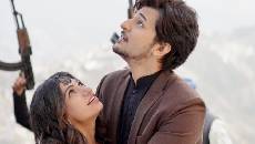 tulsi-kumar16
