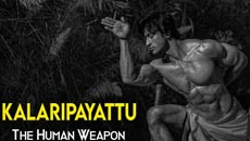 vidyut-jamwal34