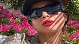 Malaika Arora's Chic Swimsuit Styles Elevate Beach Days!