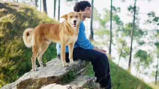 Siddhant Chaturvedi and Mrunal Thakur Share Heartwarming Moments with Furry Friends!