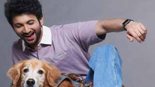 Ishq Vishk Rebound Trailer: Rohit Saraf steals the show!