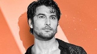 I Was Told to Fake a Relationship for Publicity: Navneet Malik Calls Out Industry Gimmicks!