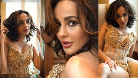 Atul Kasbekar Adds Seerat Kapoor to Iconic Kingfisher Lineup, Sets Internet Ablaze!