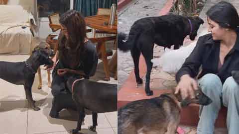 Wamiqa Gabbi Speaks Out on Stray Dog Rights Amid Supreme Court Order on Independence Day!